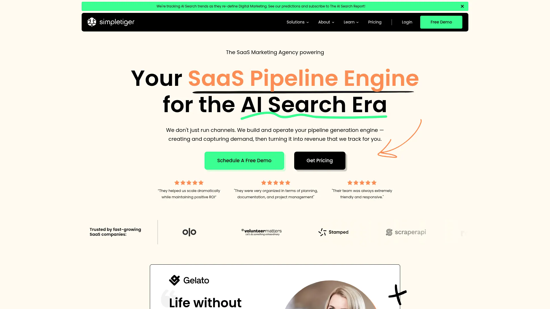 SimpleTiger homepage screenshot